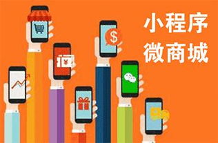 圖 廣州商城開發,app定制,系統開發,網站建設 廣州網站建設推廣