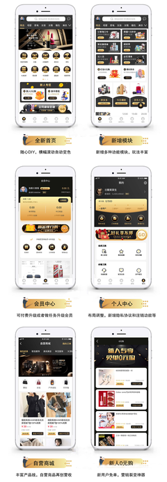 原生獨立定制開發淘客APP