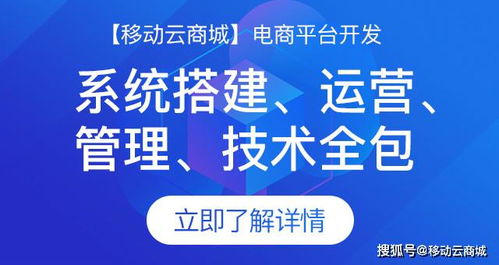 大型商城定制開發(fā)周期全解析